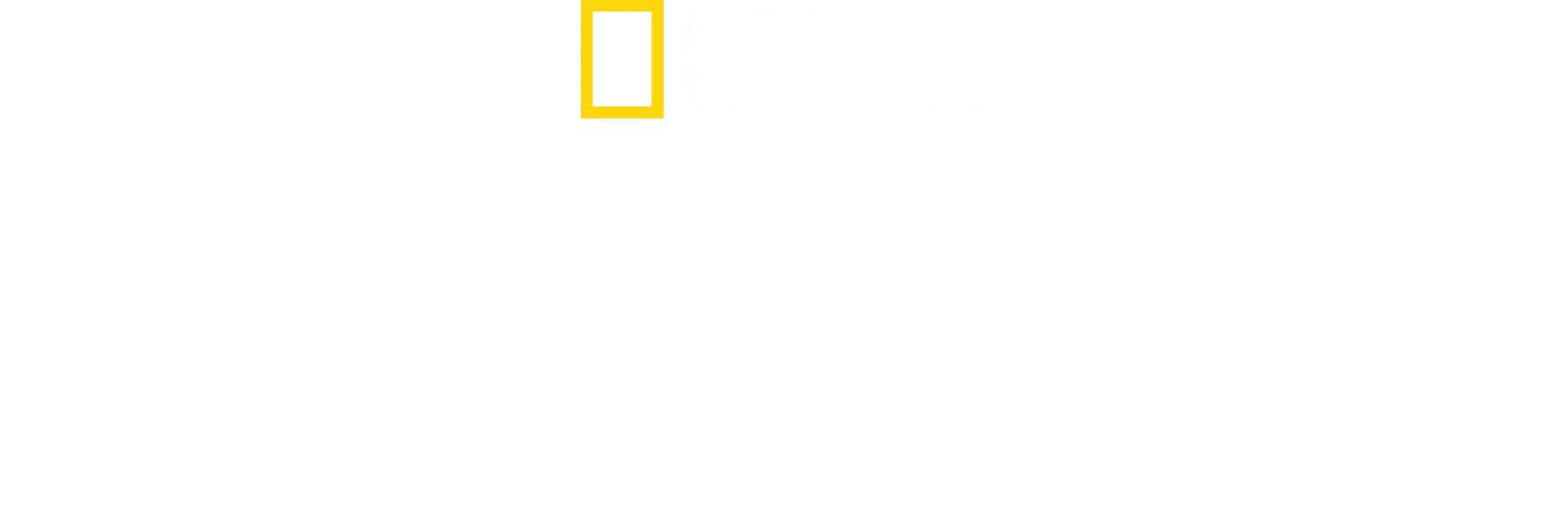 Ohne Limits: Für ein besseres Leben