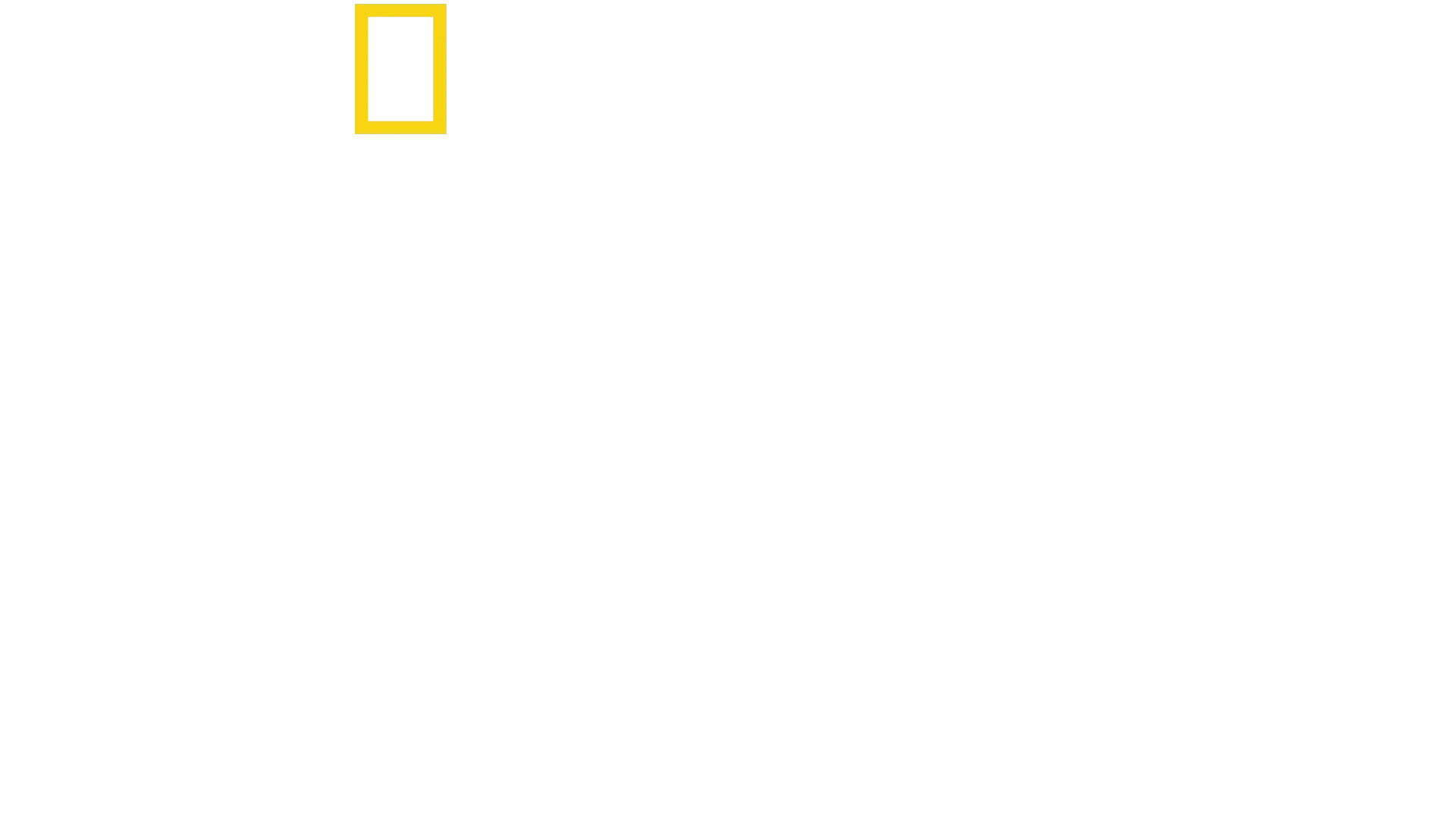 Χαμένοι Στη Ζούγκλα