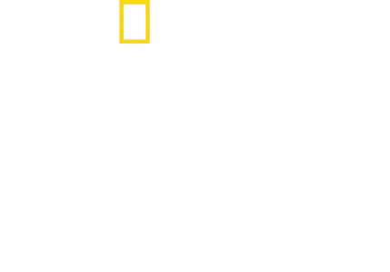 Χαμένοι Στη Ζούγκλα