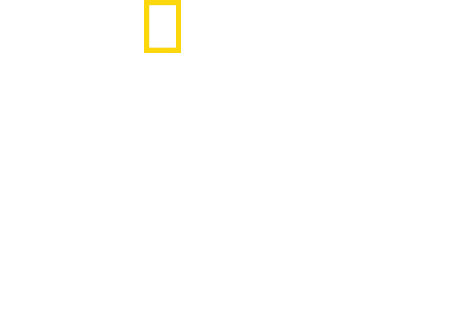 Χαμένοι Στη Ζούγκλα