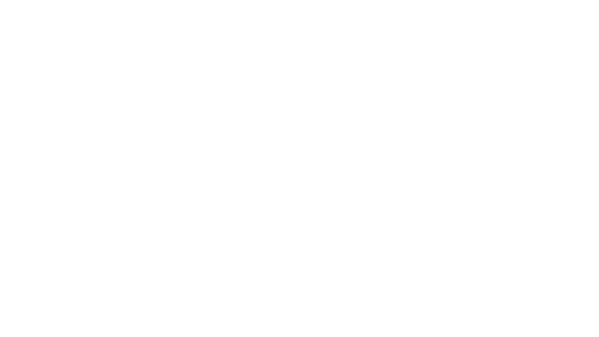 A Dama e o Vagabundo