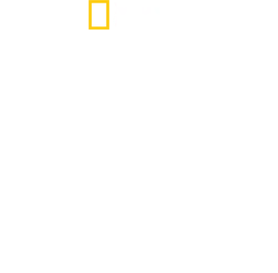 Wild Life: Una storia d’amore