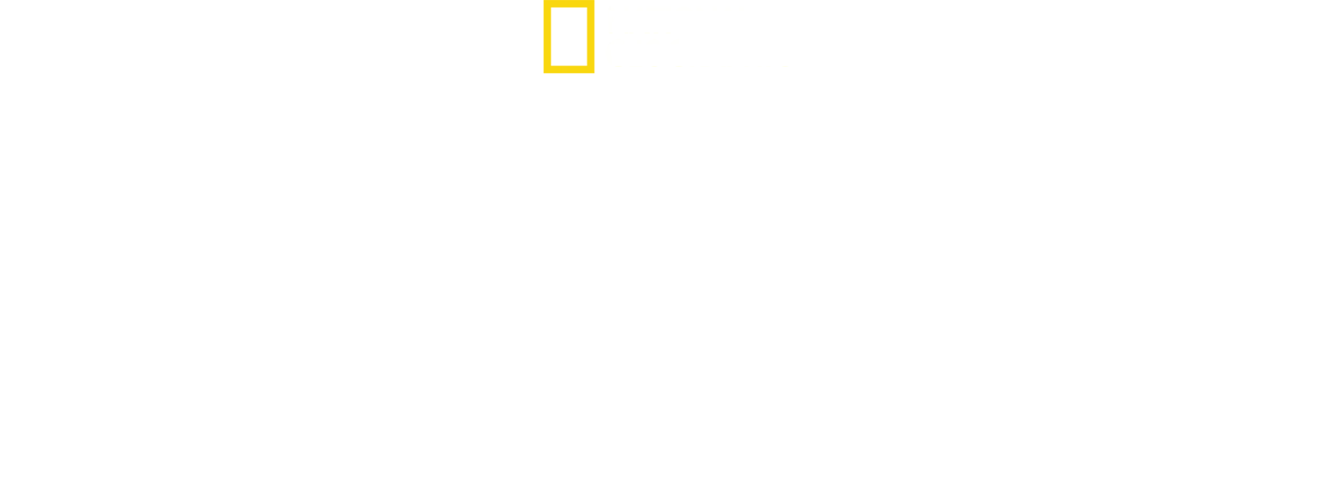 Leopardo de ojos verdes