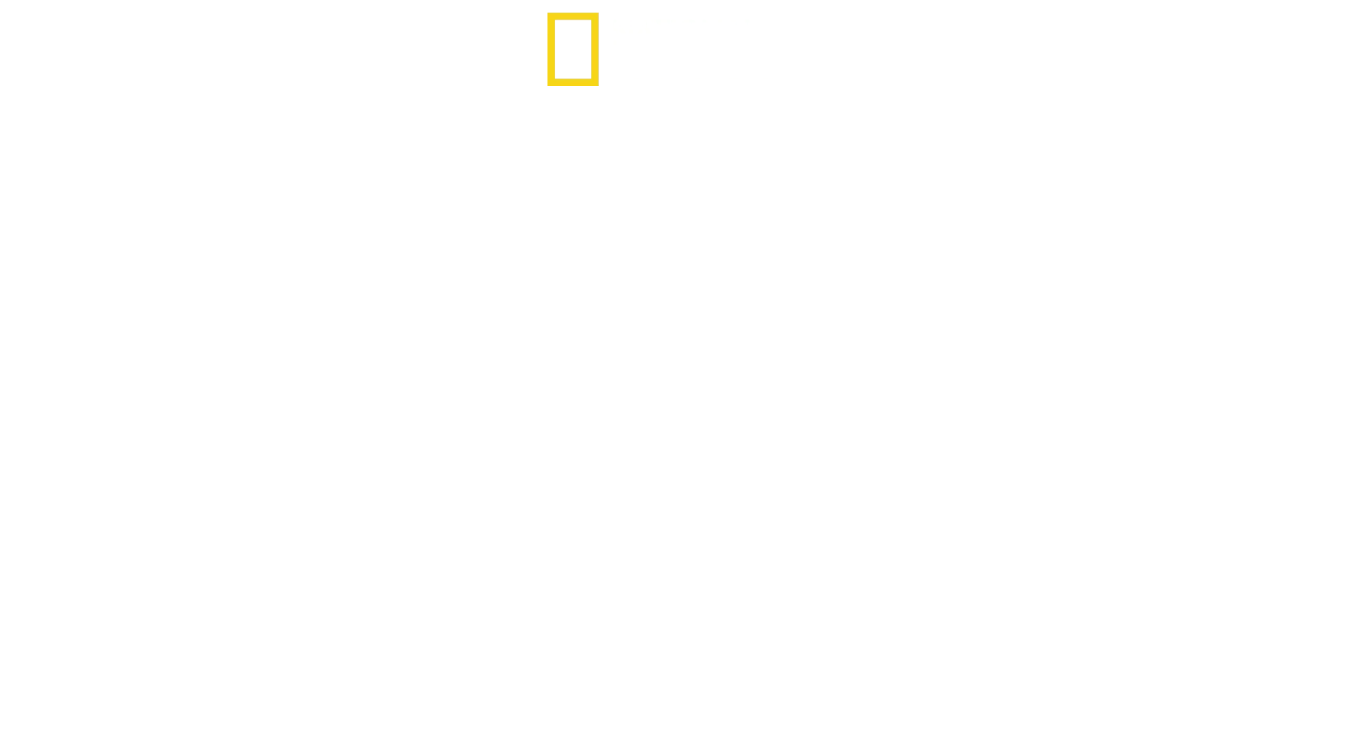 Die Magie von Disney's Animal Kingdom