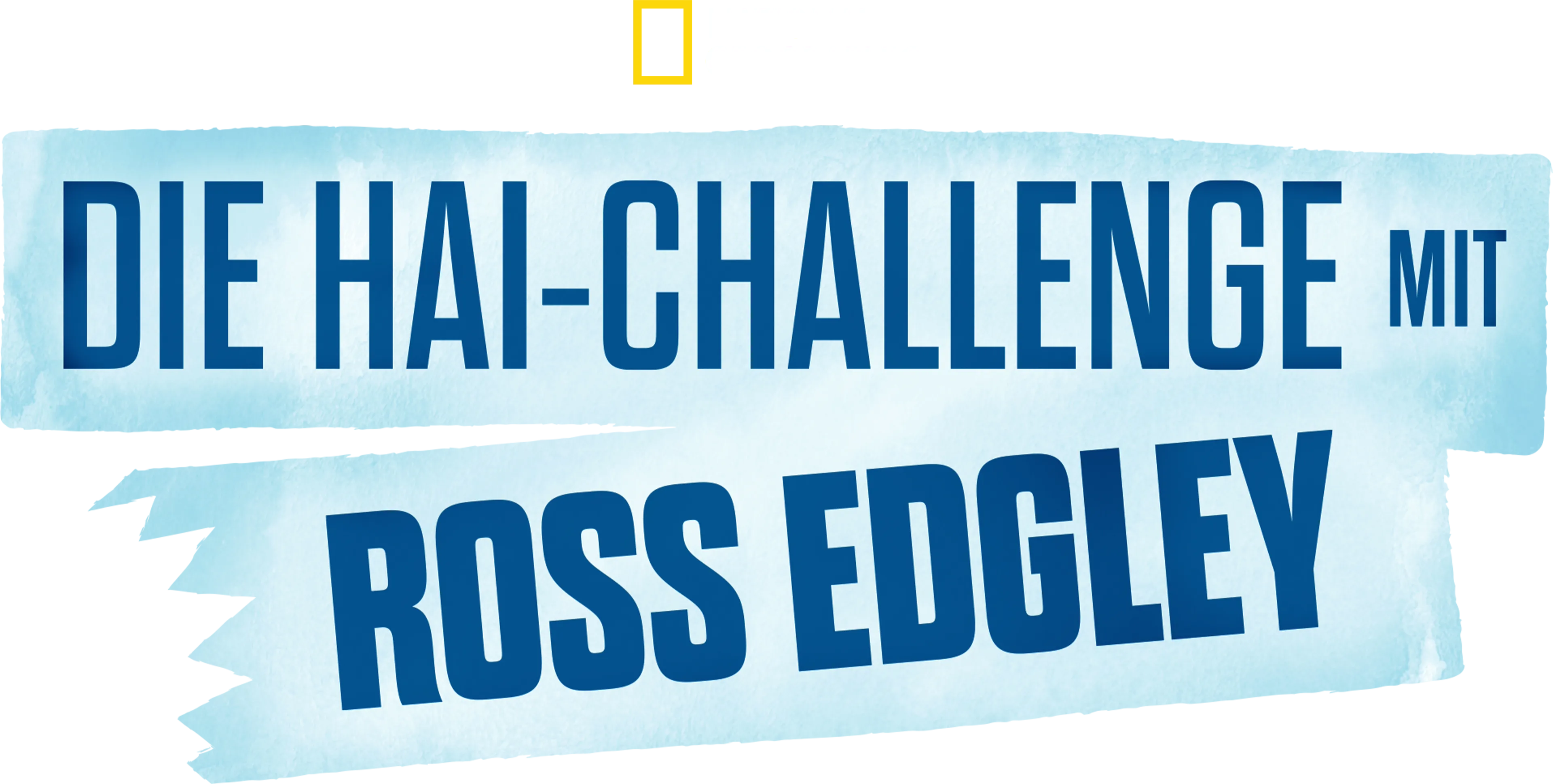 Die Hai-Challenge mit Ross Edgley