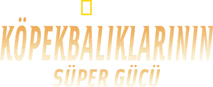 Köpekbalıklarının Süper Gücü