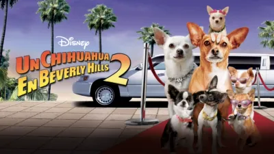 Un chihuahua en Beverly Hills 2