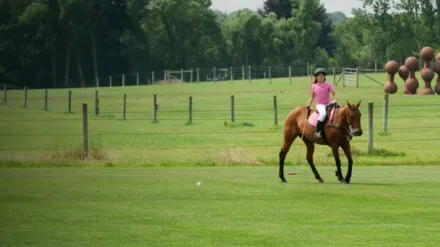 Playgrounds of the rich and famous