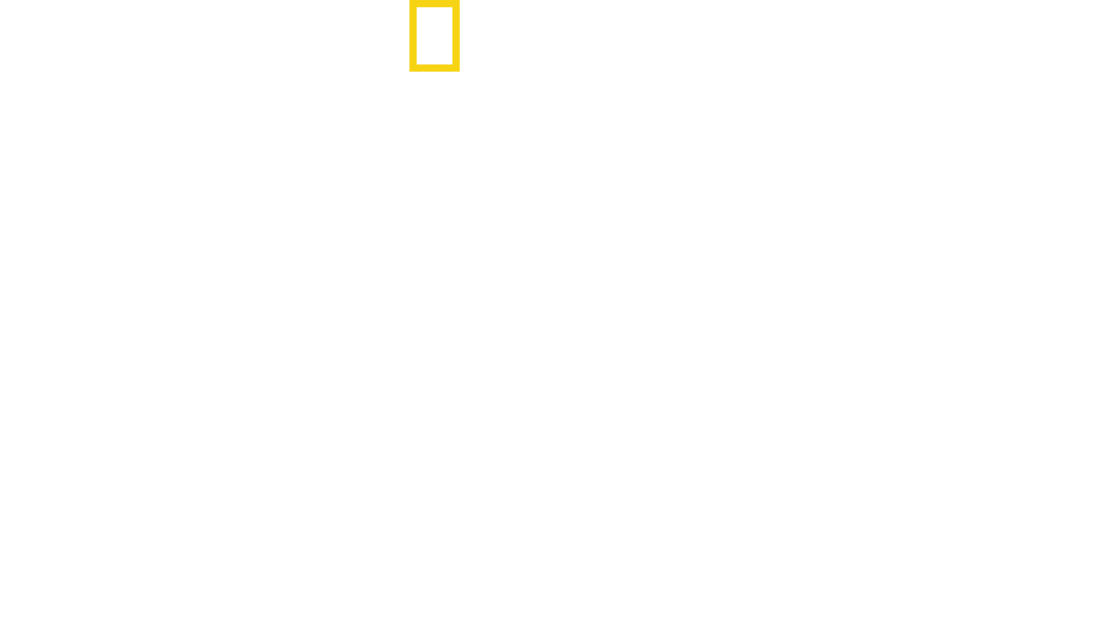Tubarões Visto de Cima