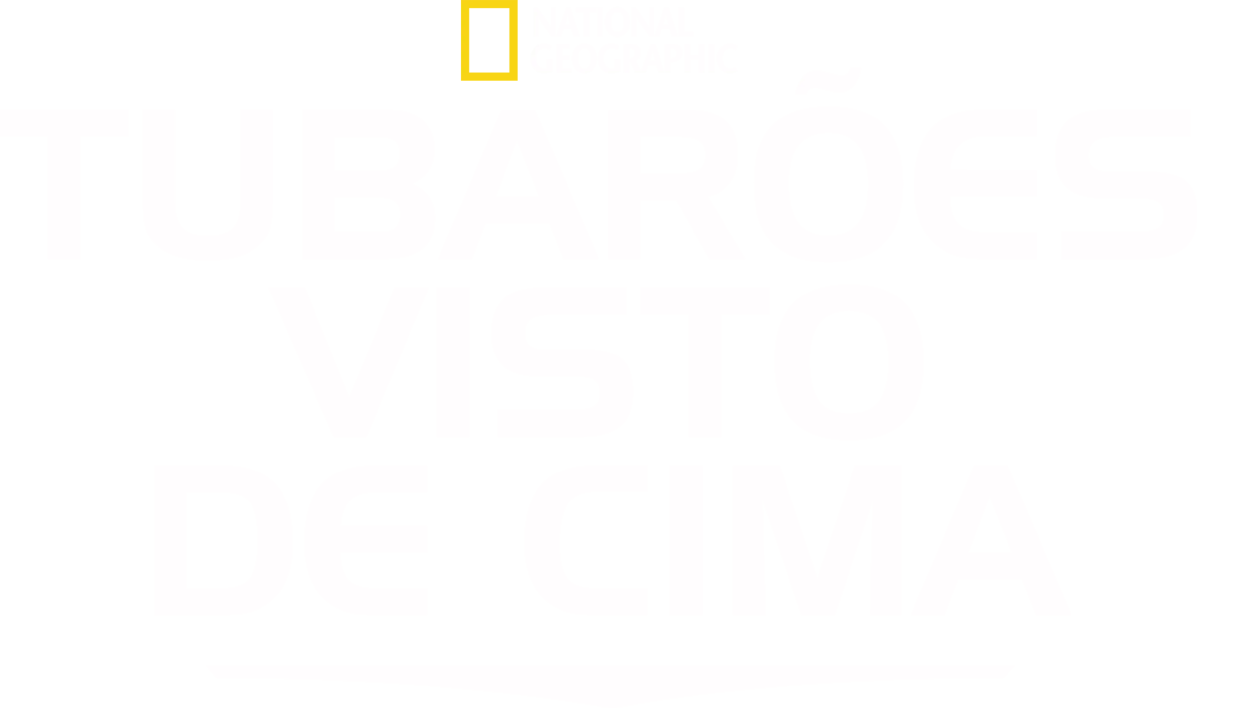 Tubarões Visto de Cima