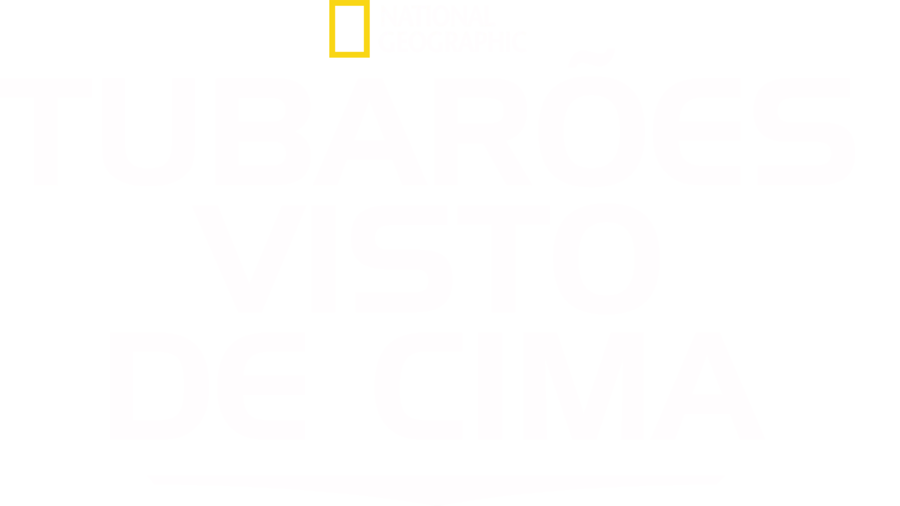 Tubarões Visto de Cima