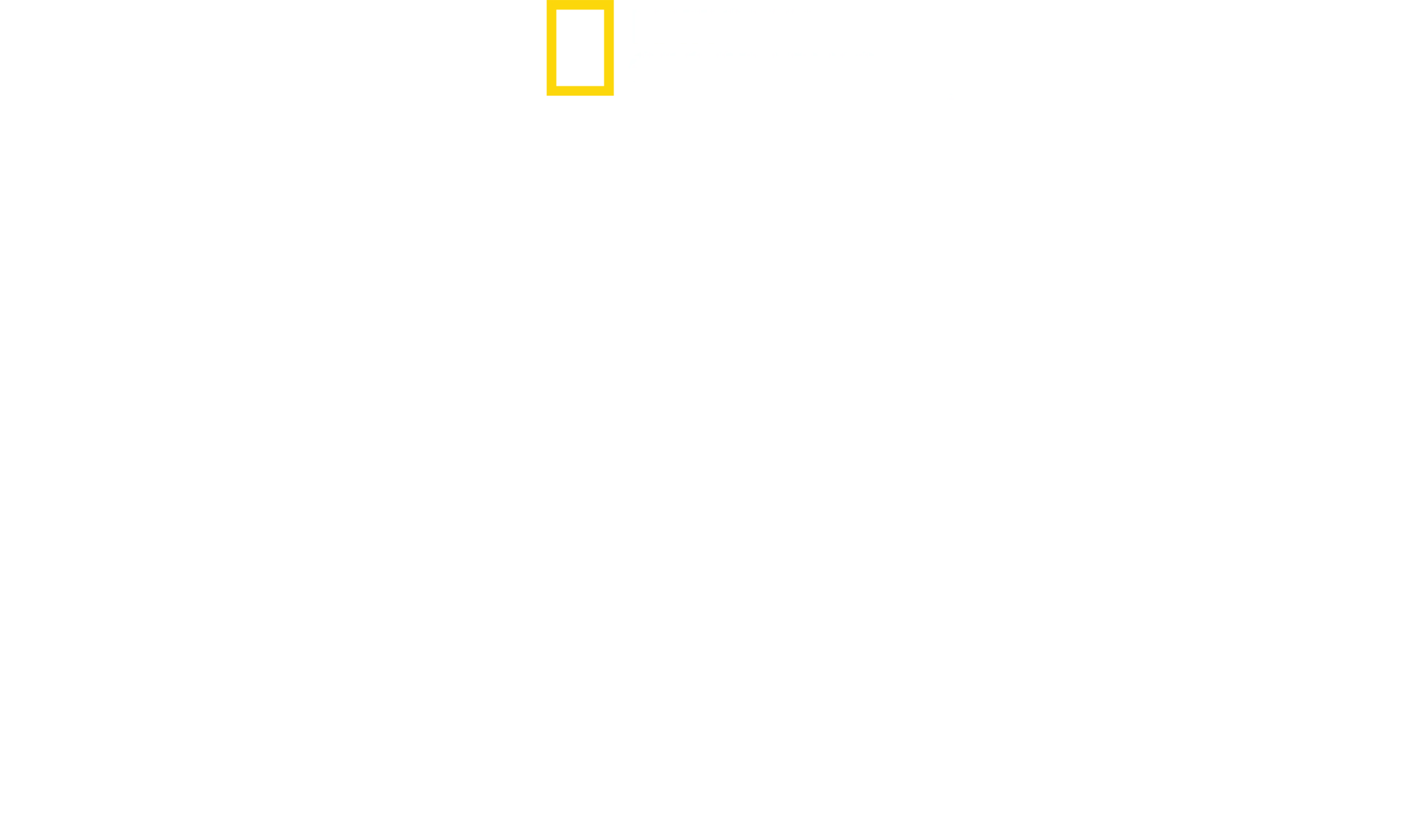 Tubarões Visto de Cima