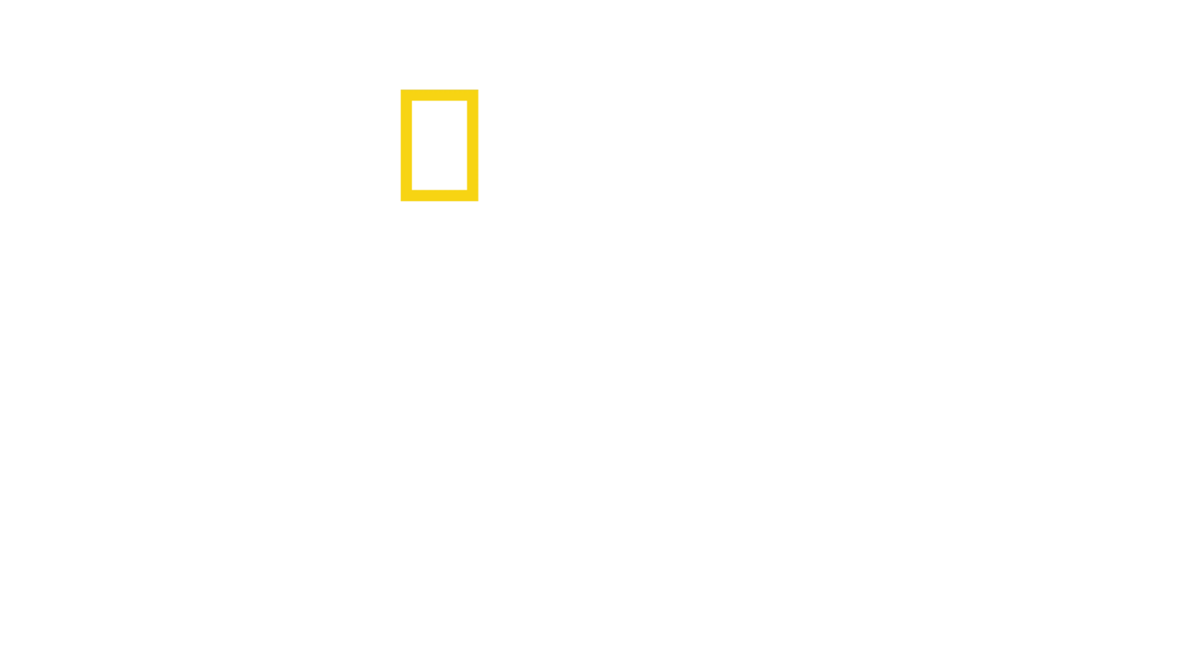 Nacistické megastavby