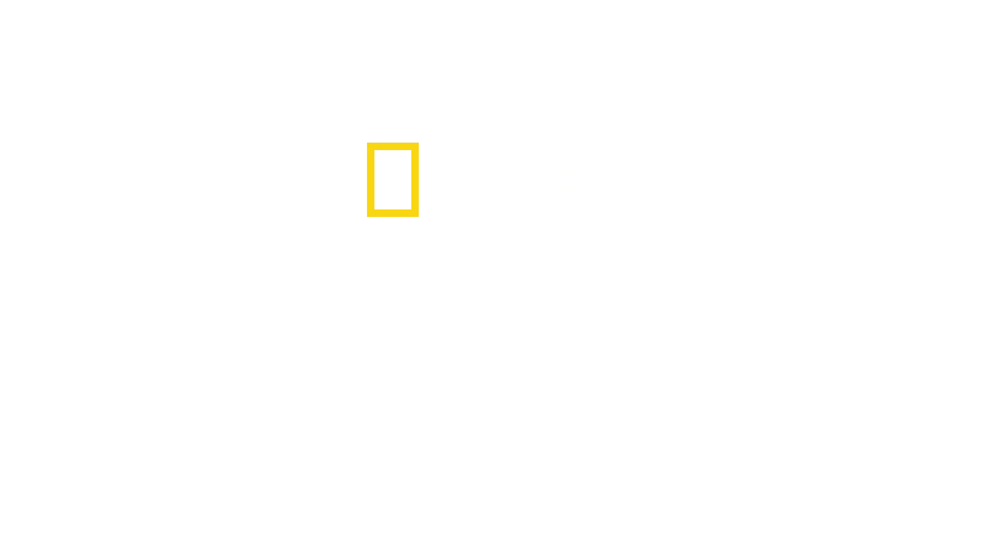 Sri Lankas Leoparden-Dynastie