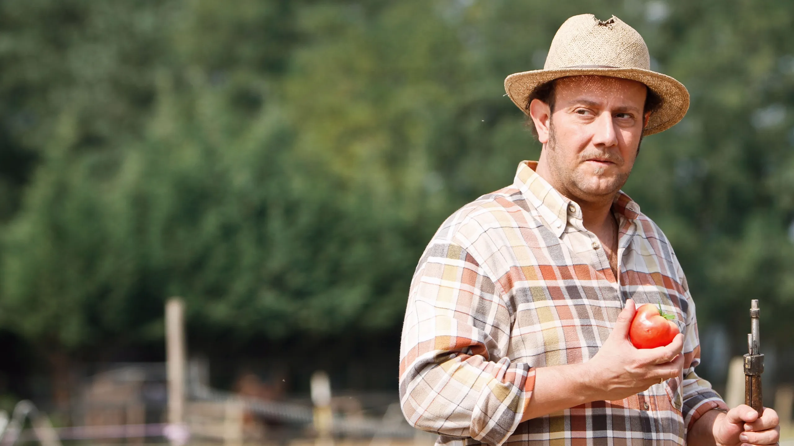 A&F - Ale E Franz Show