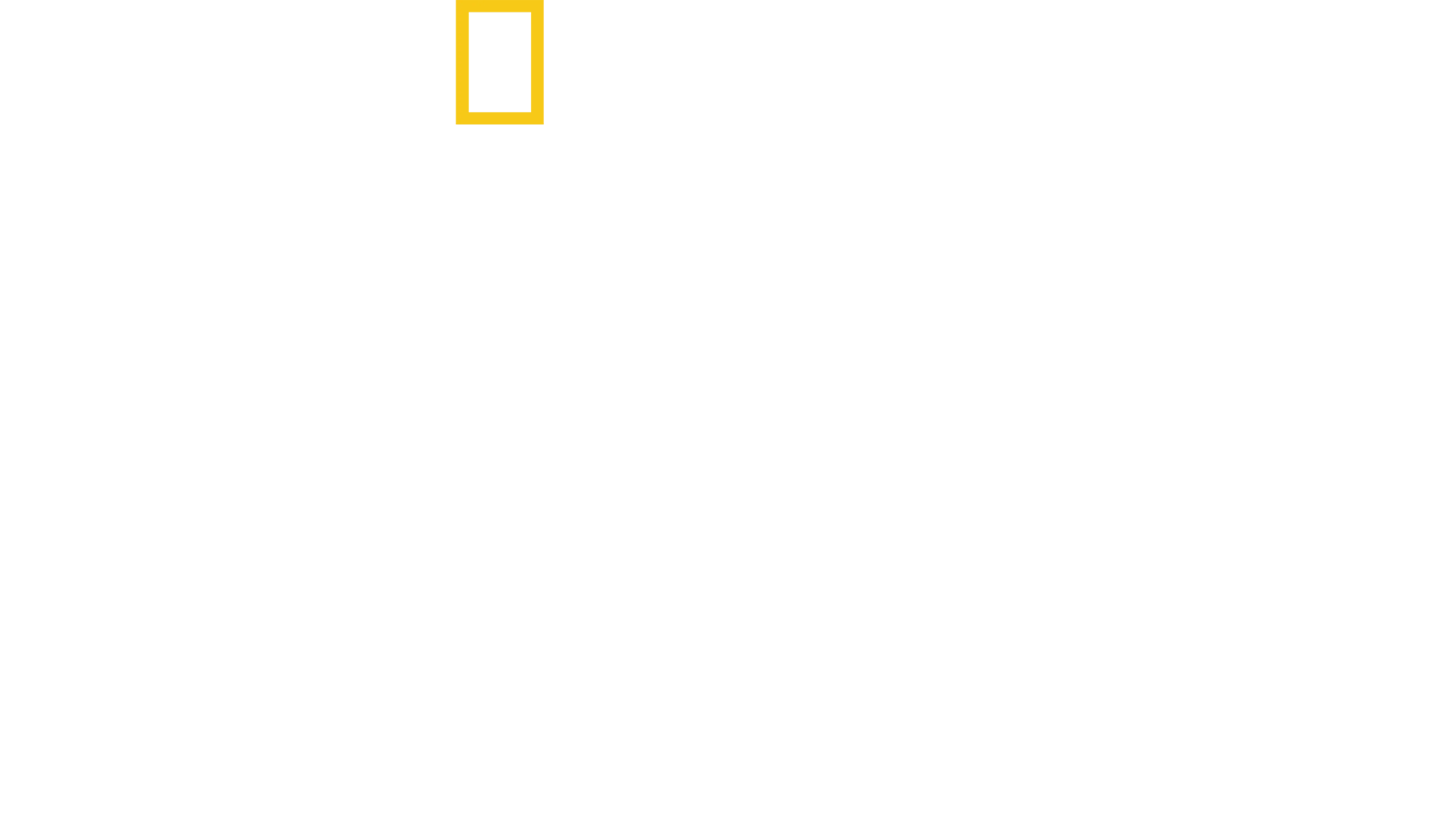 Život v divočině