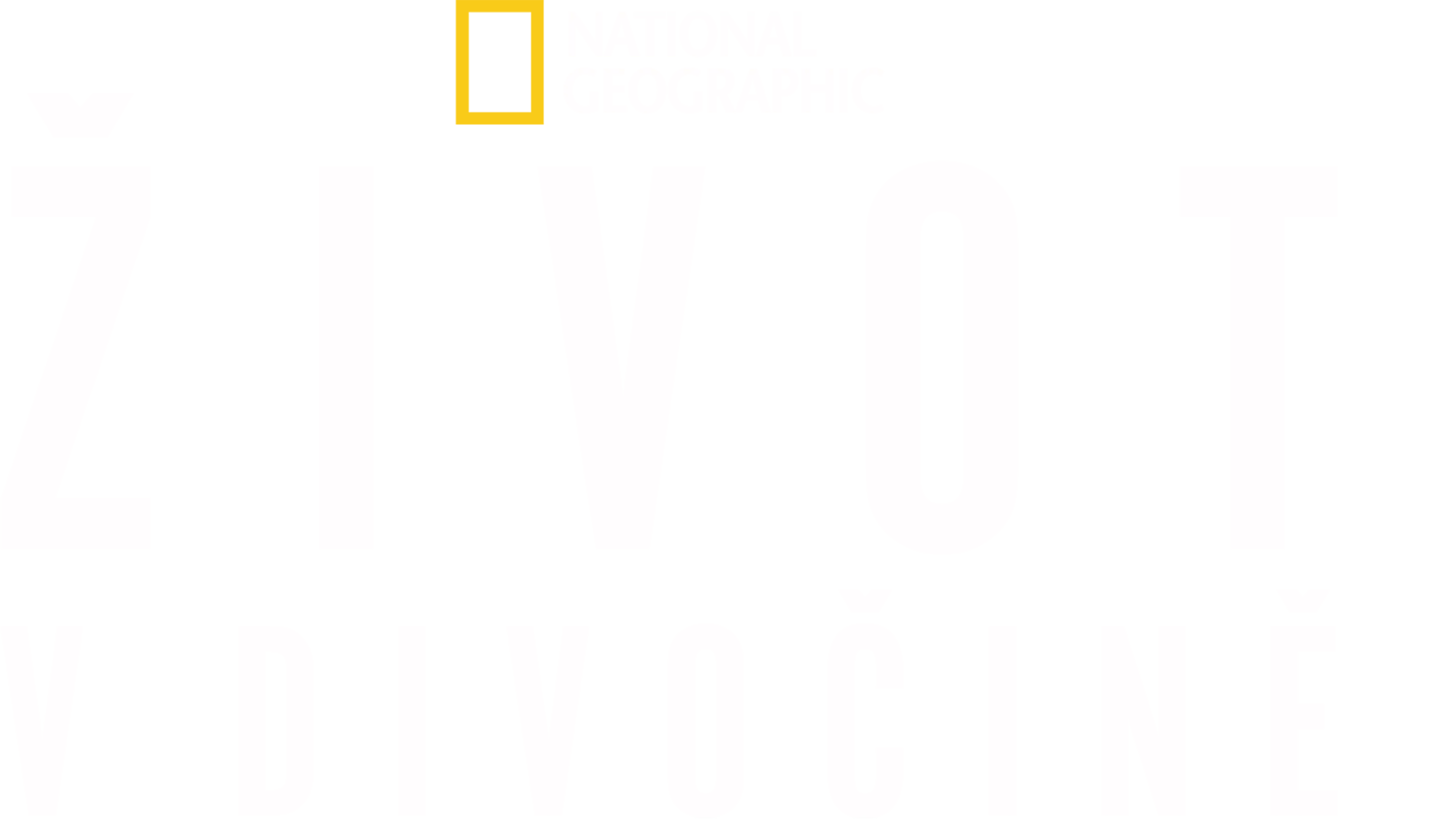 Život v divočině