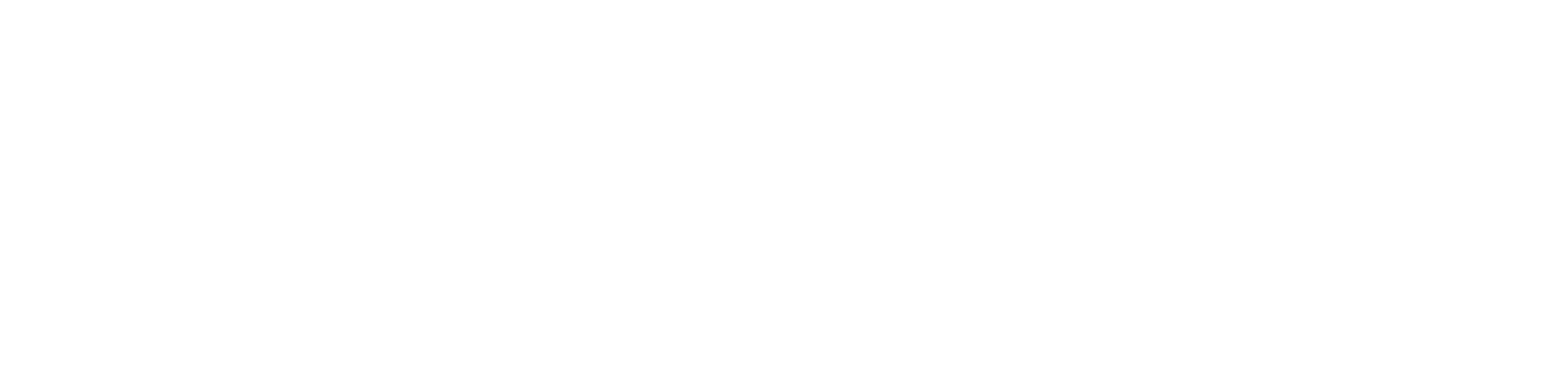 Sasha Reid and the Midnight Order