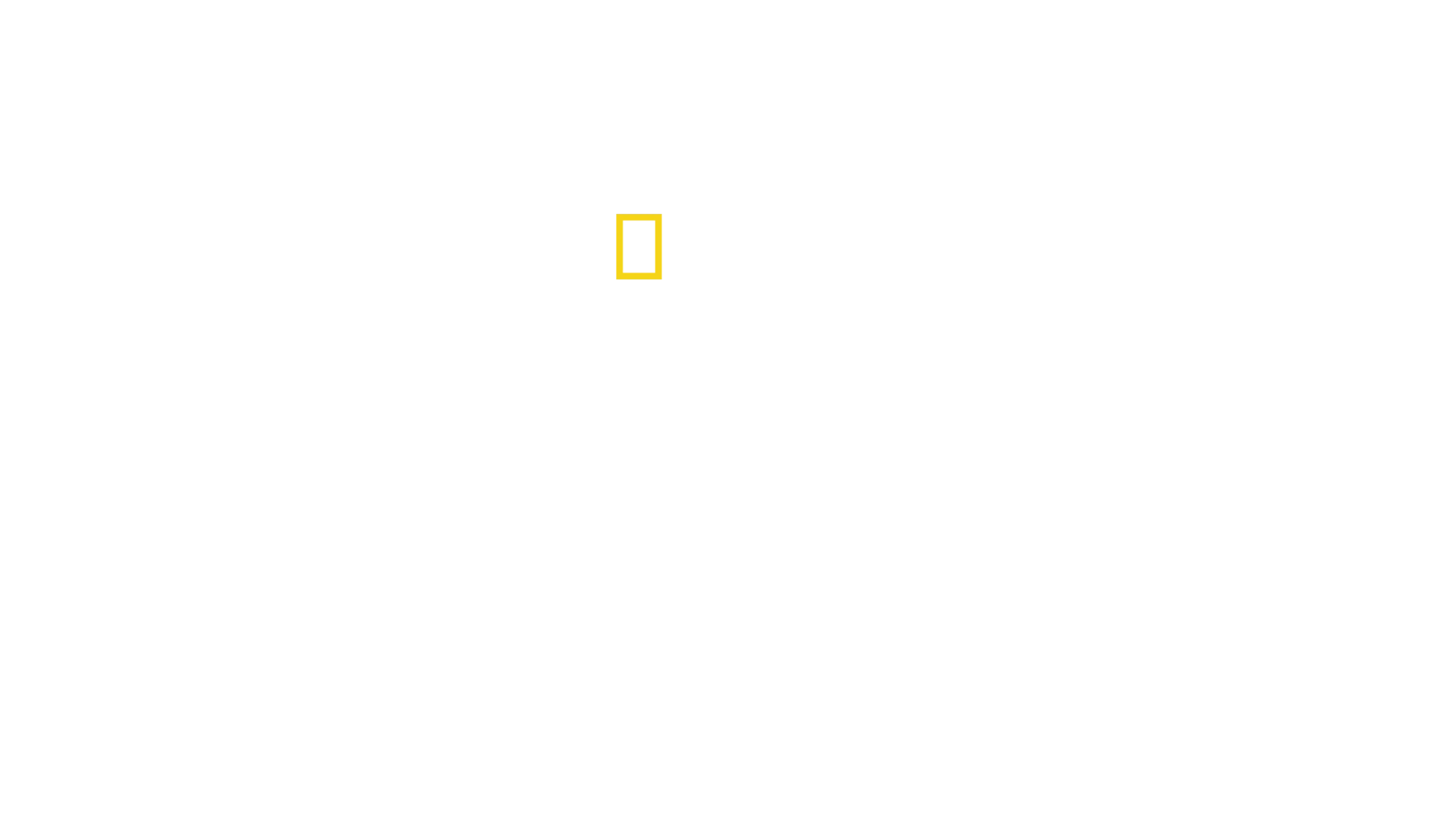 Amerizarea de pe fluviul Hudson