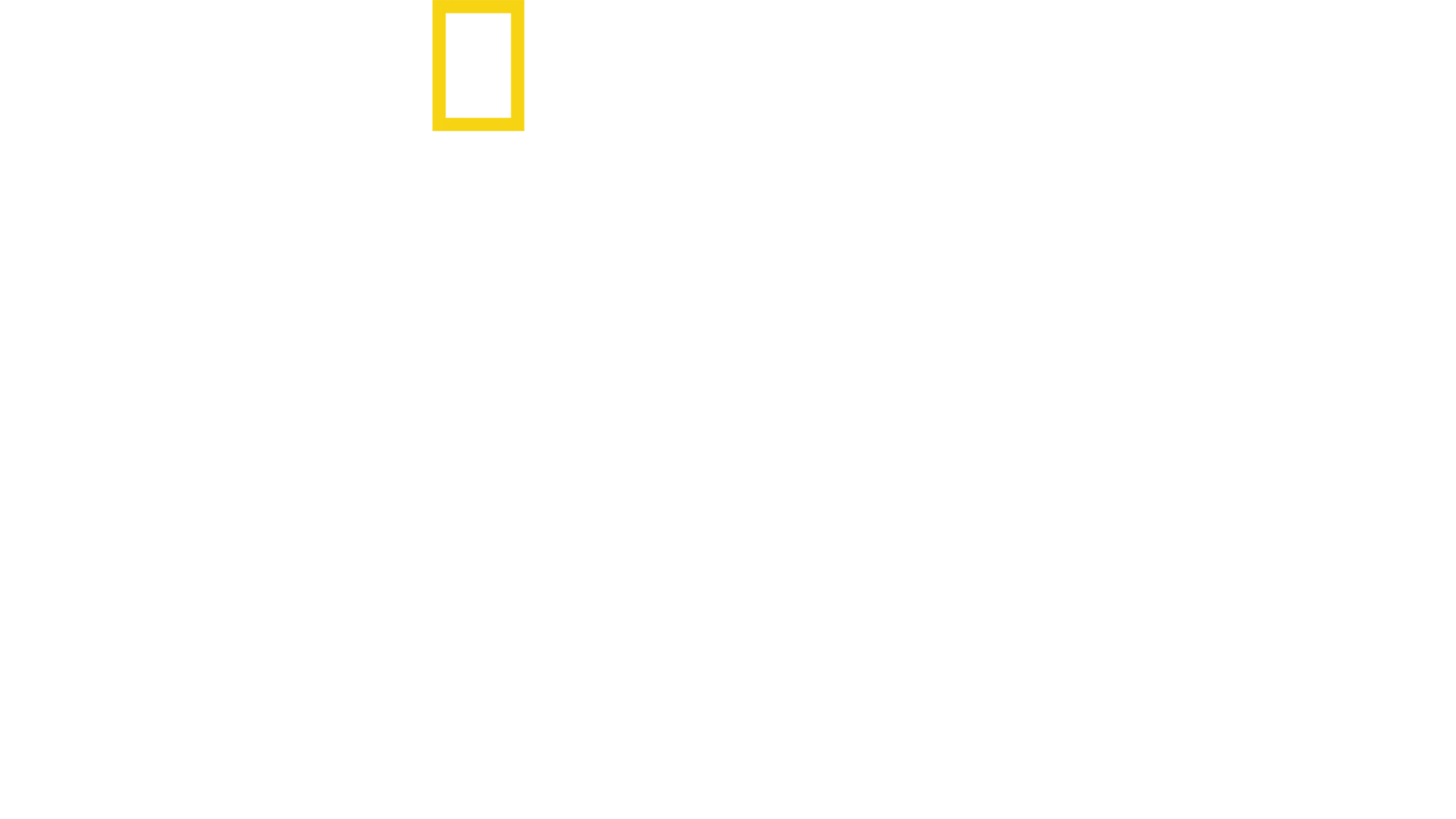 Złapać przemytnika