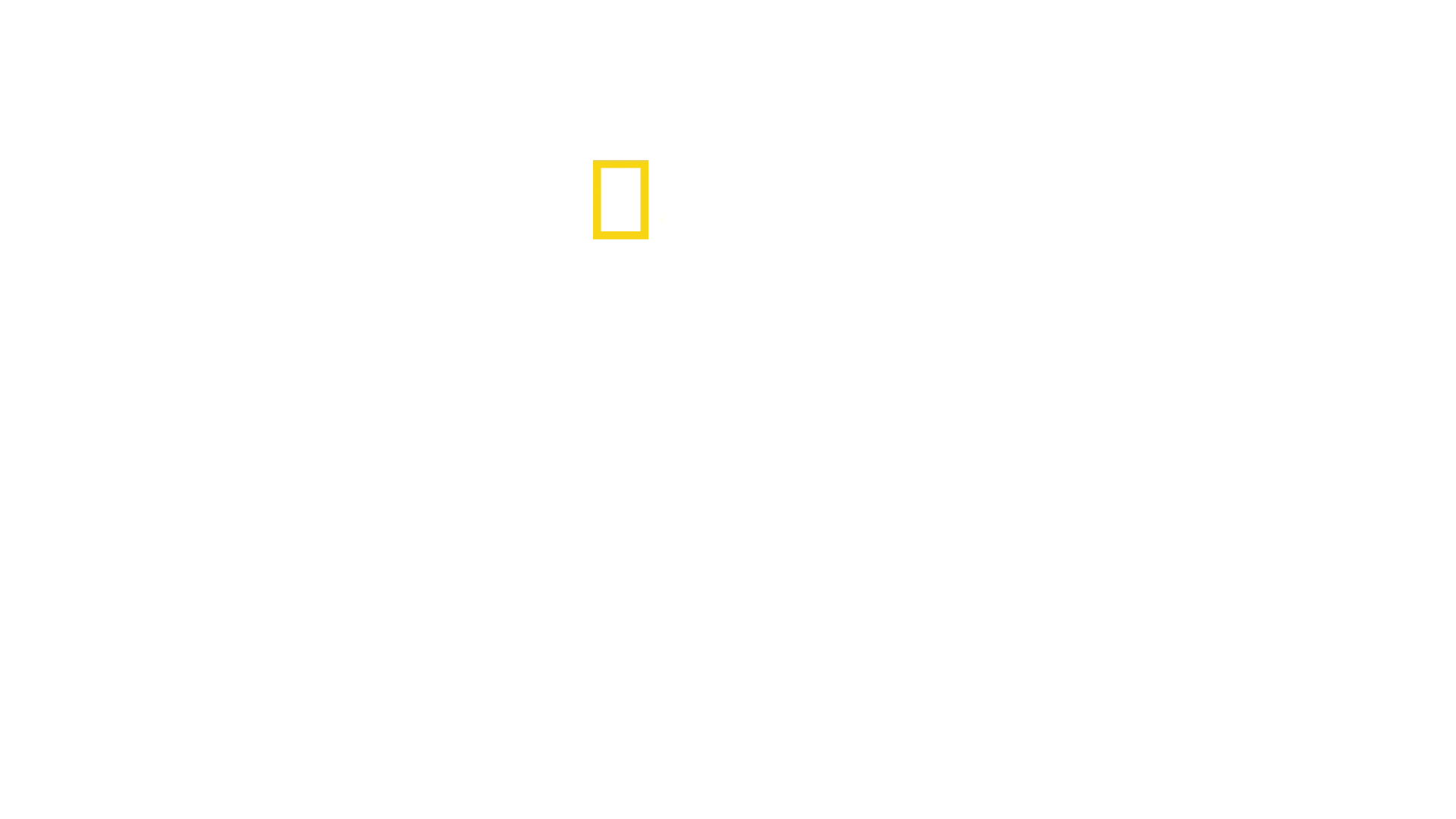 Inside : La Corée du Nord