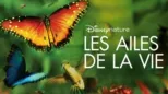 thumbnail - Les ailes de la vie