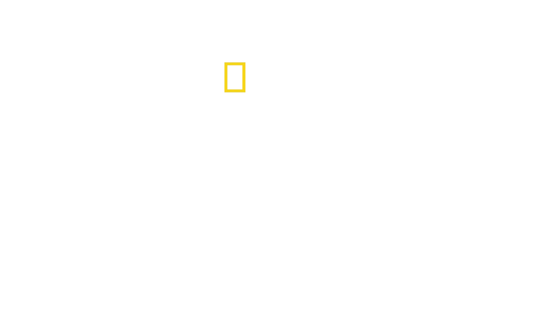 Inside Airport Lost & Found