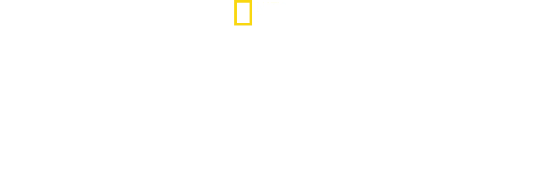 Puuleopardien paluu