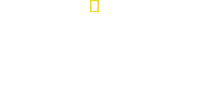 Lost Cities Revealed with Albert Lin