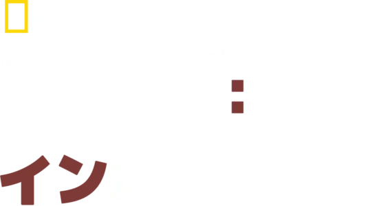 ドッグ：インポッシブル