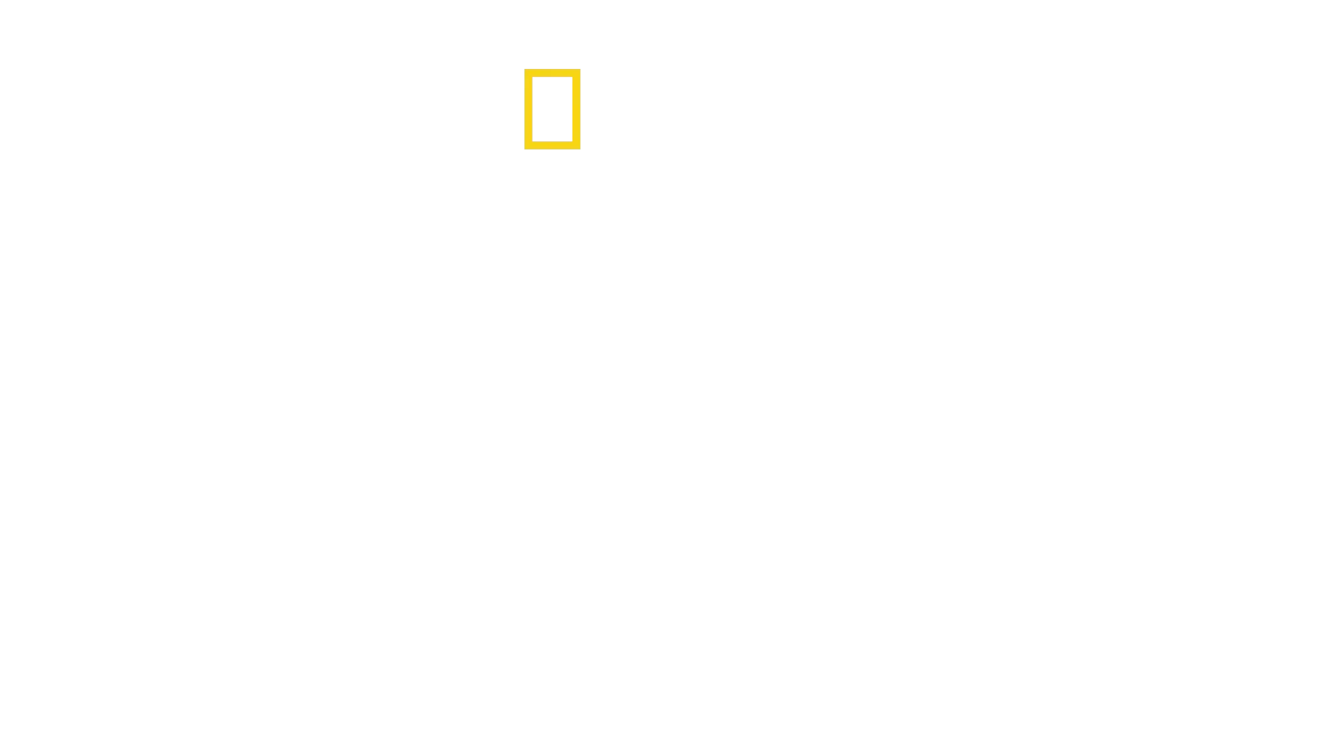 Állati gyerekmesék