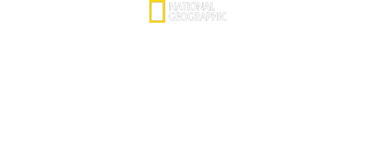 Állati gyerekmesék