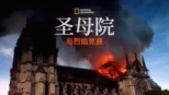 thumbnail - 圣母院: 与烈焰竞赛
