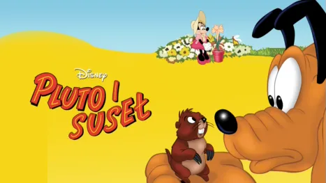 thumbnail - Pluto i suseł