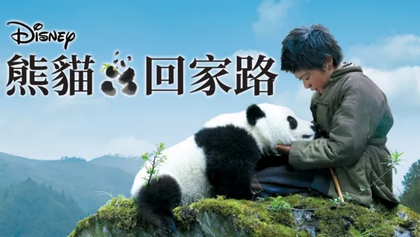 thumbnail - 熊貓回家路