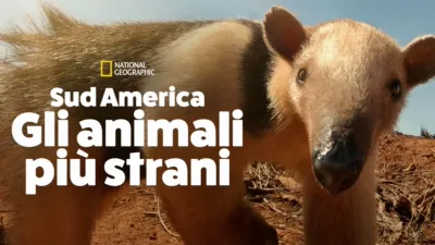 Sud America: Gli animali più strani
