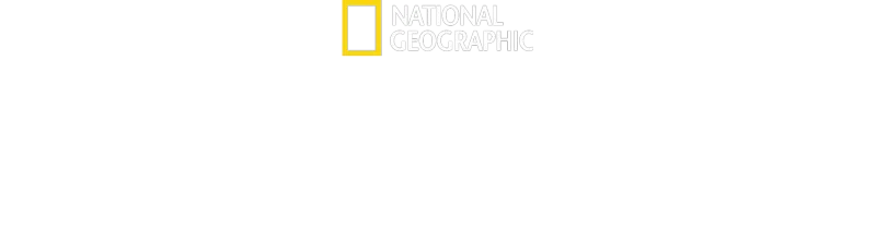Nourrir le monde