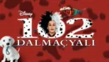 thumbnail - 102 Dalmaçyalı
