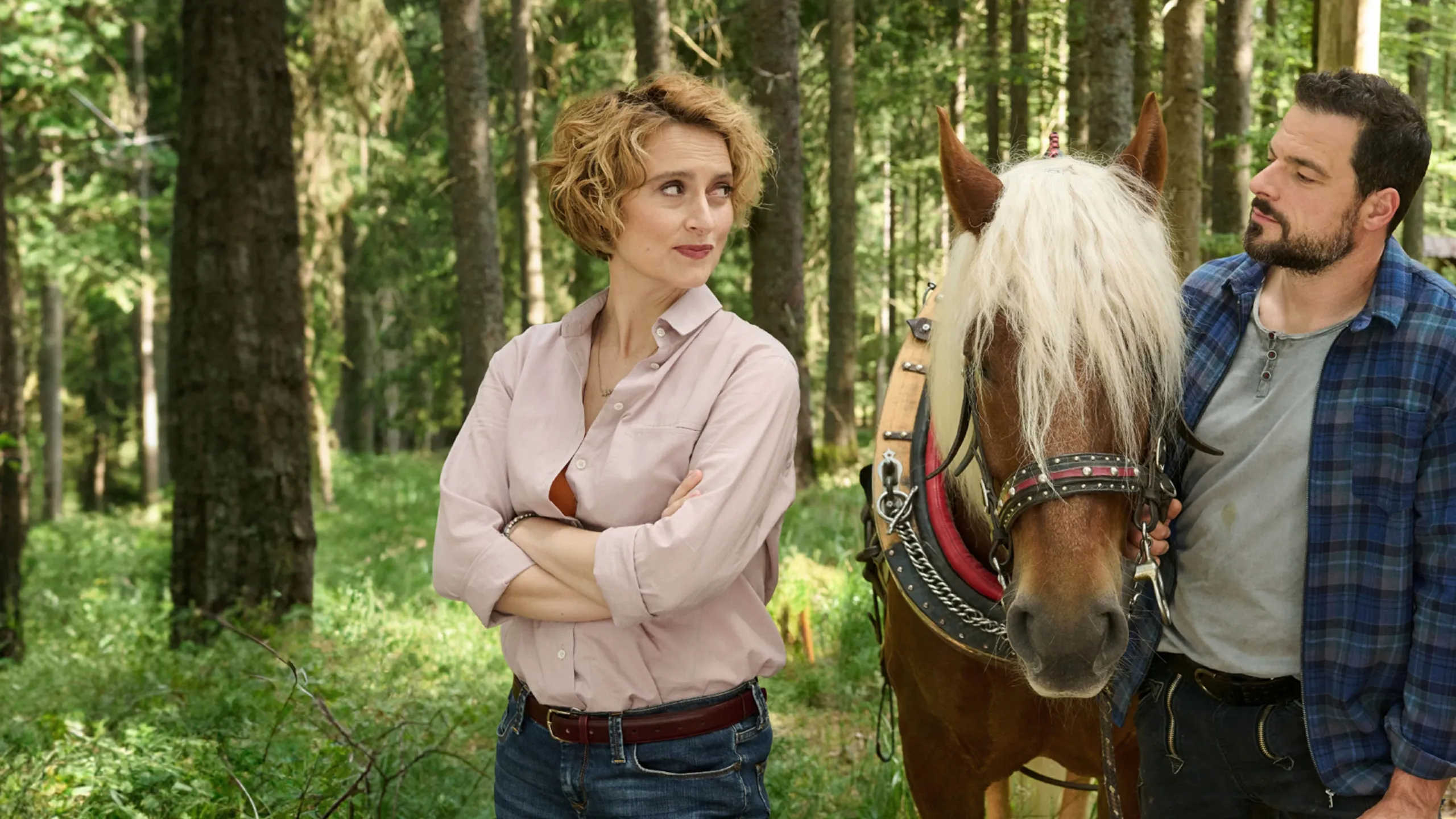Ein Sommer im Schwarzwald