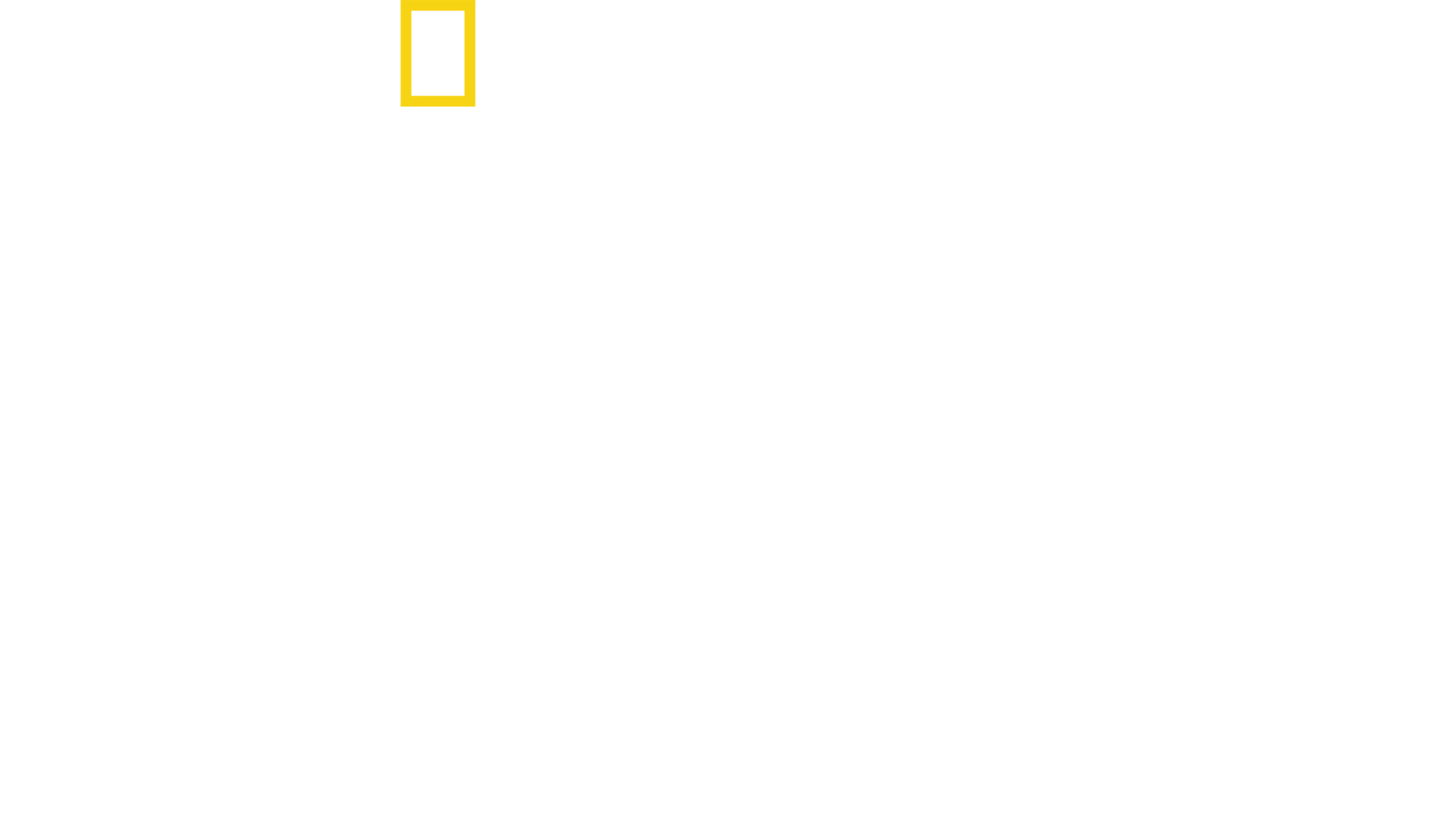 Roma'nın Kayıp Hazineleri