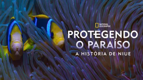 thumbnail - Protegendo o Paraíso: A História de Niue