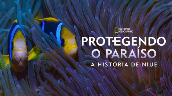 thumbnail - Protegendo o Paraíso: A História de Niue