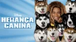 thumbnail - Herança Canina