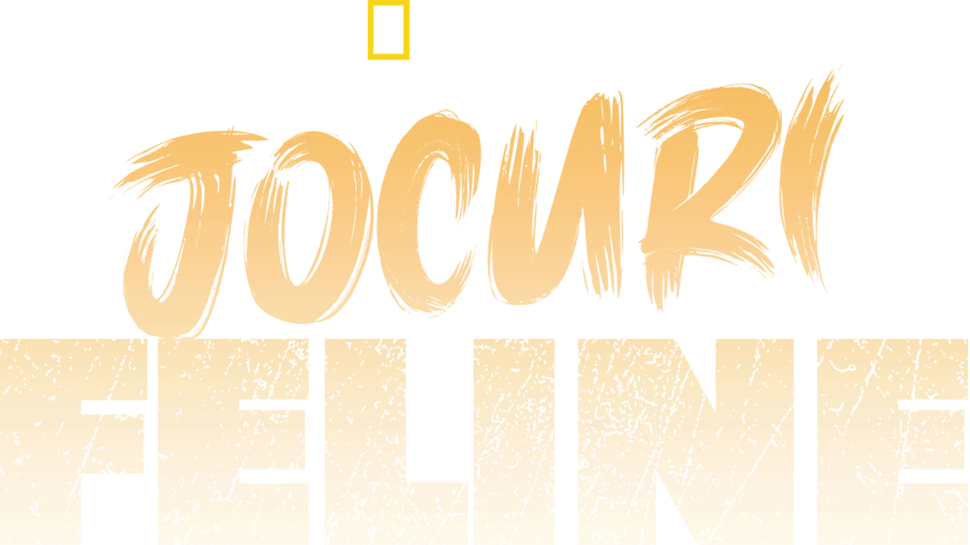Jocuri feline