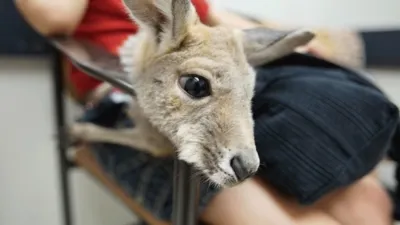 thumbnail - S2:E7 Something Fishy