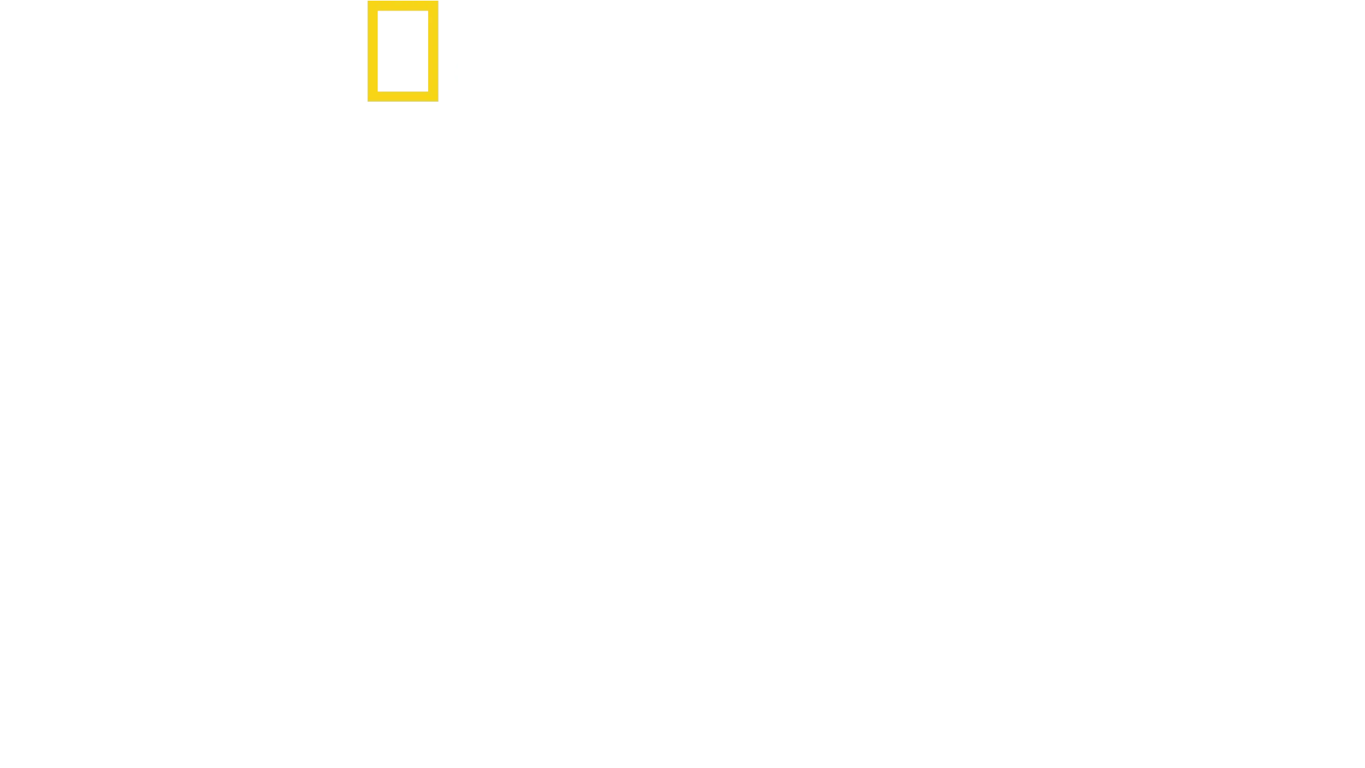 Deep Blue: la regina degli squali