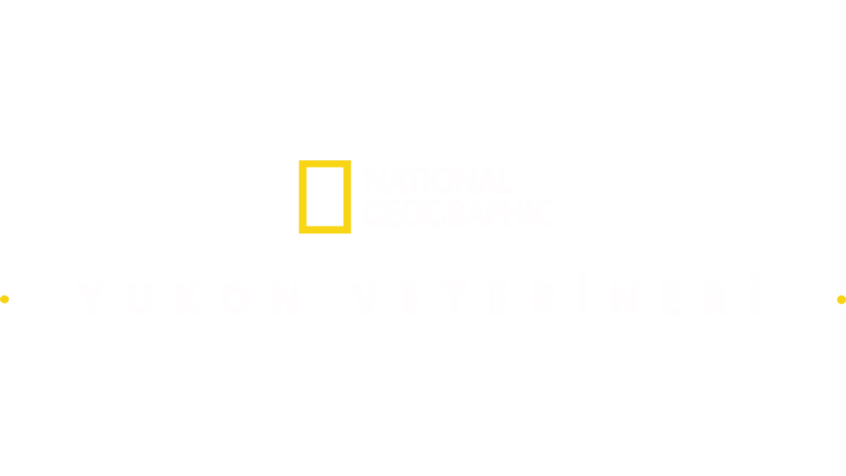 Yukon Veterineri