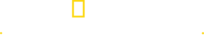 Yukon Veterineri