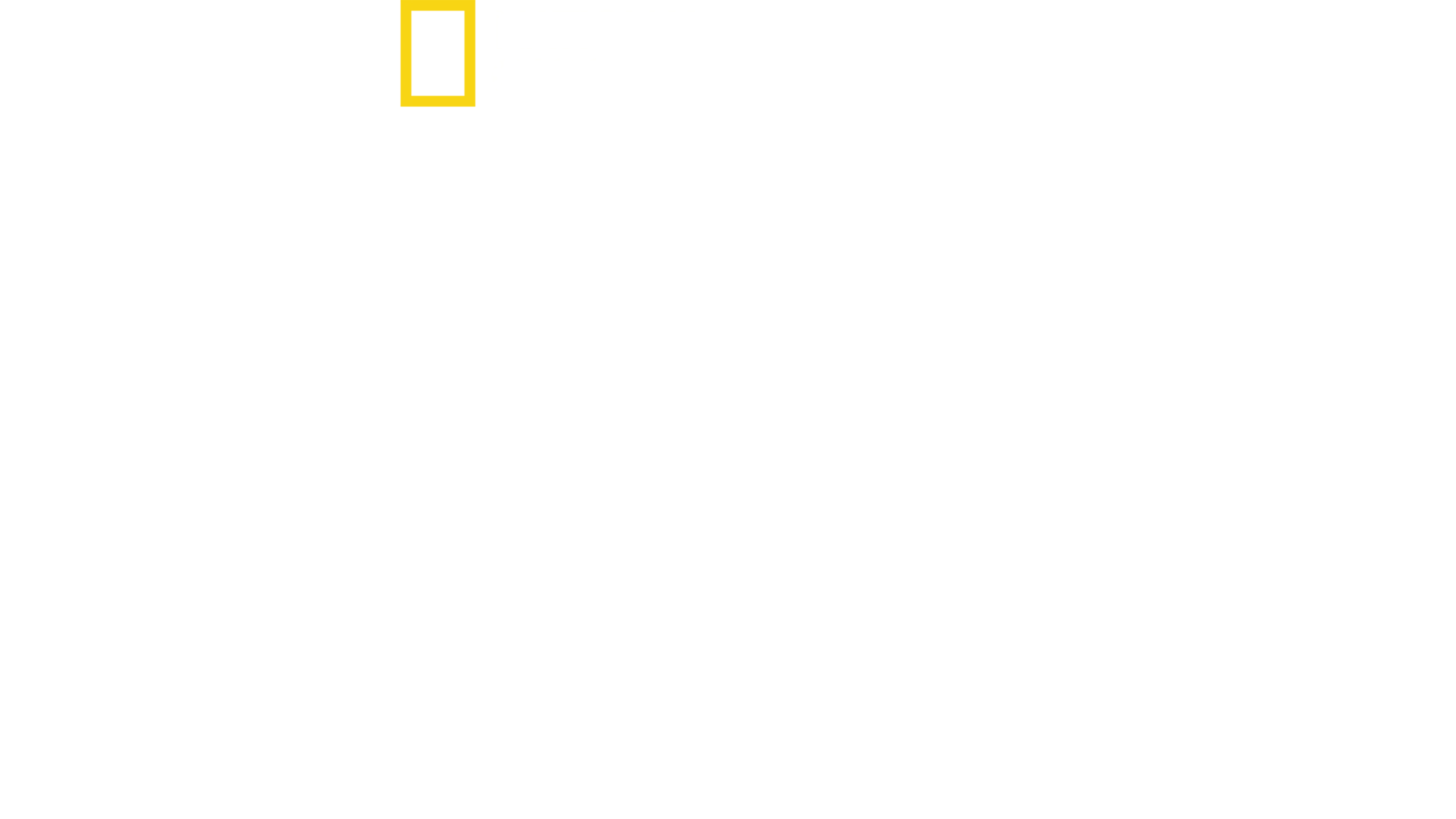 Roma'nın Kayıp Hazineleri