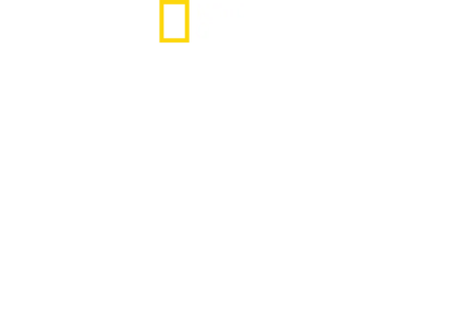 Roma'nın Kayıp Hazineleri